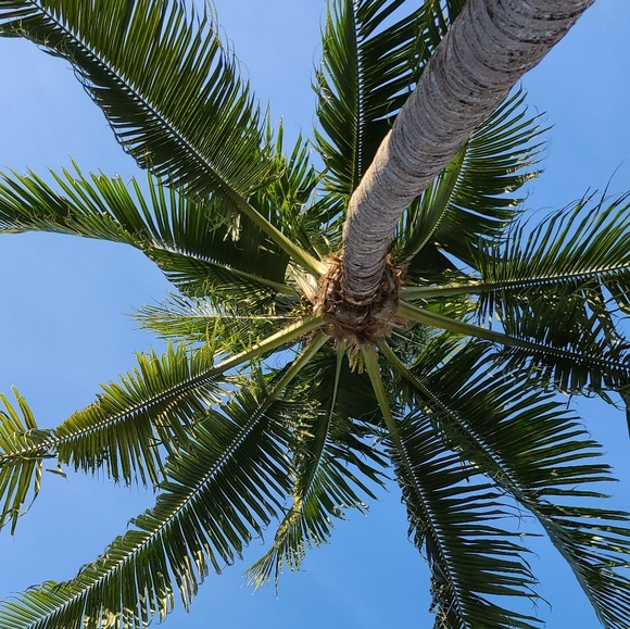 Meet your Posher, Leah - Picture 1 of 1